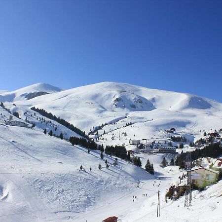 Snow Patrol Lodge Tetovo Exteriör bild