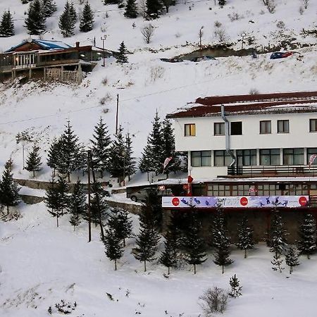 Snow Patrol Lodge Tetovo Exteriör bild